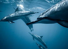 开云体育：云端之力点亮每一次运动的热情